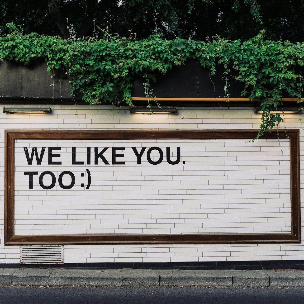 We like you too quotes on wall